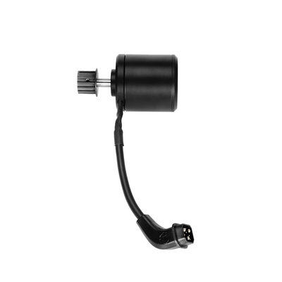 Maverick Motor - LORENTZ BOARDS